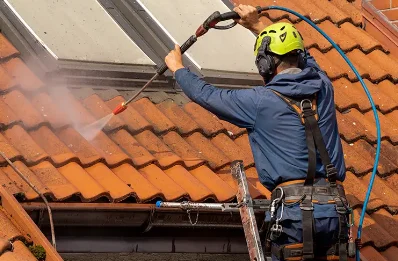 Démoussage et hydrofuge de toiture à Izeste
